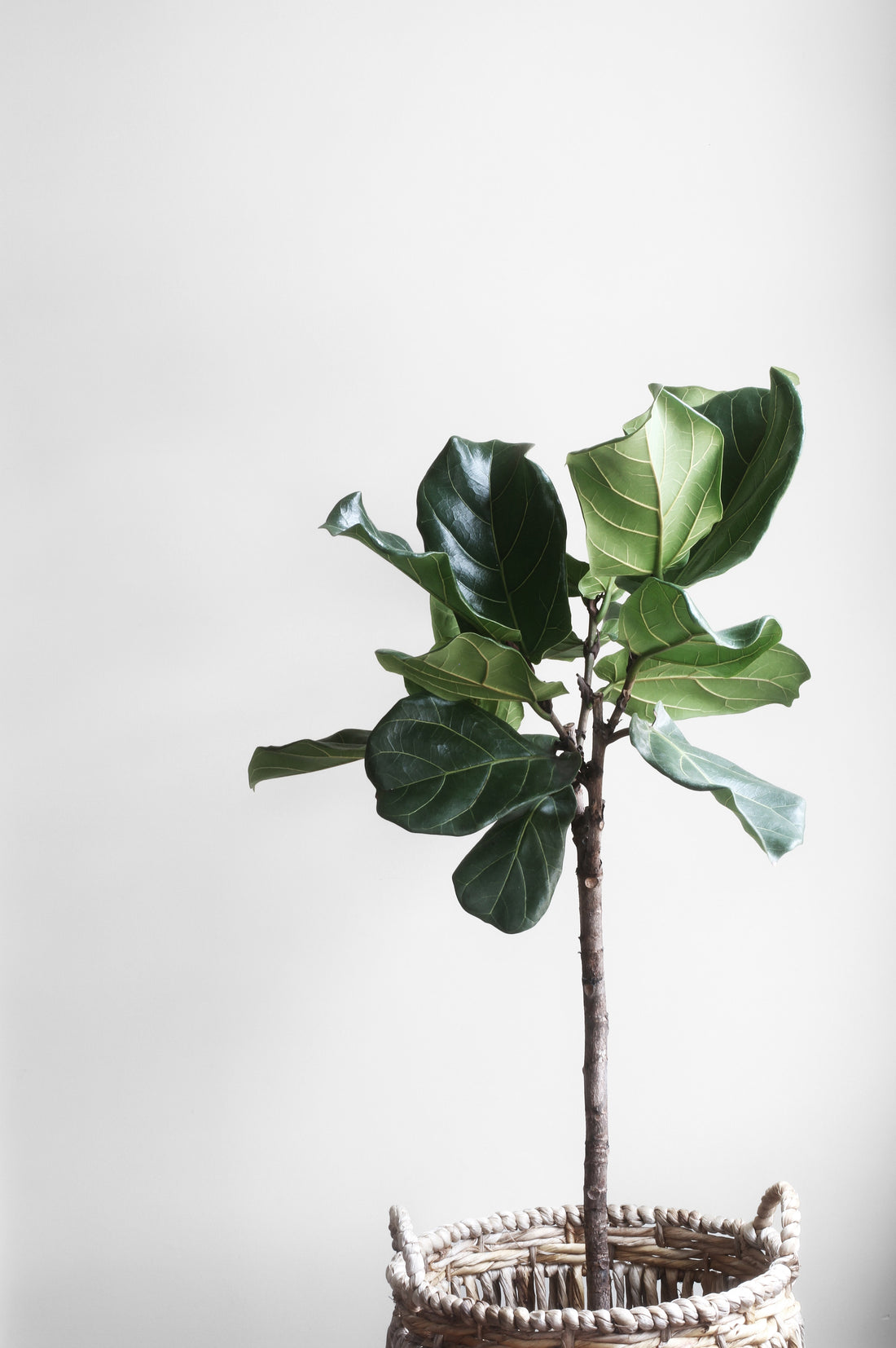 SPRING PLAYLIST 2018